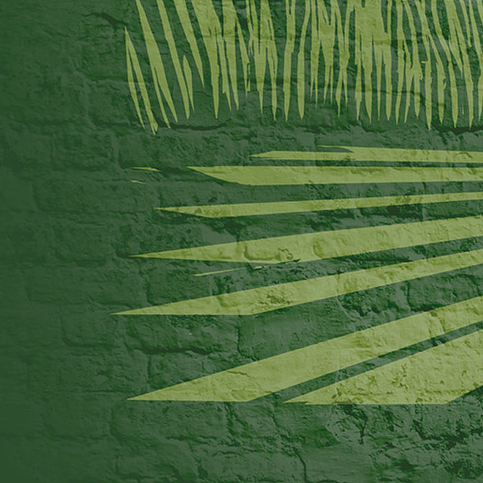 Vlies Fototapete | Star Wars Classic Concrete Endor | Größe 200 x 280 cm