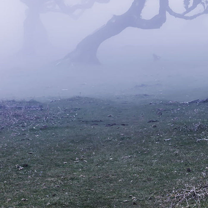 Vlies Fototapete | Ghost Line | Größe 400 x 250 cm