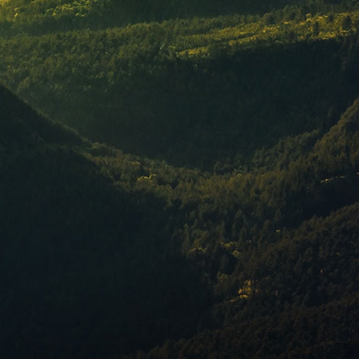 Vlies Fototapete | The Shire | Größe 200 x 150 cm