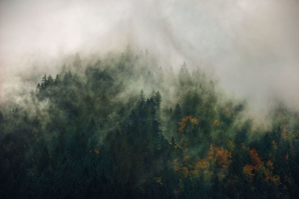 Vlies Fototapete | Tales of the Carpathians | Größe 300 x 200 cm