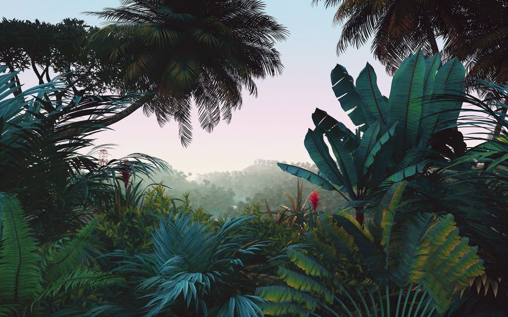 Vlies Fototapete | Jungle Morning | Größe 400 x 250 cm