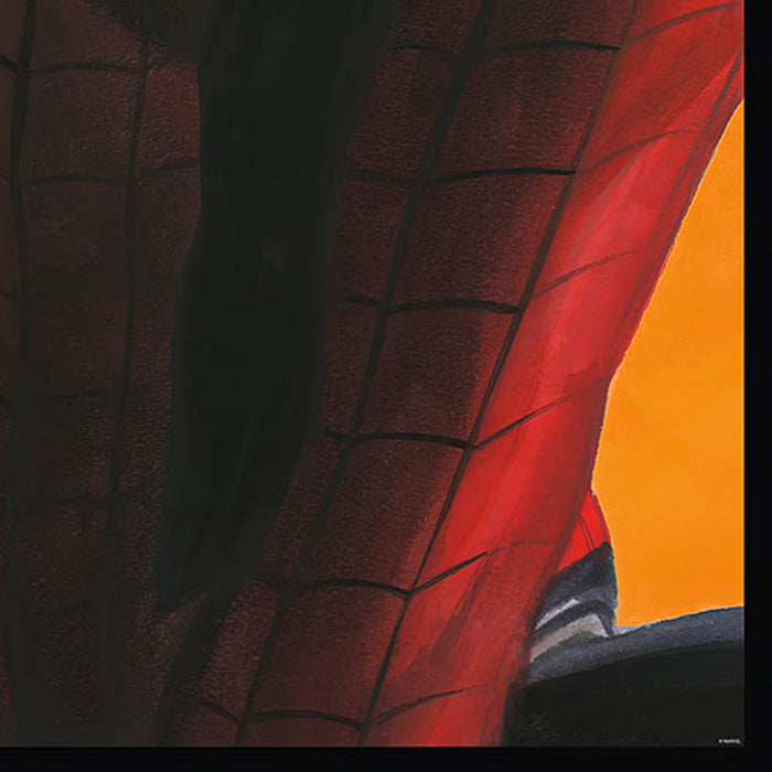 Komar | Vlies Fototapete | Spider Man Comic | Größe 100 x 250 cm