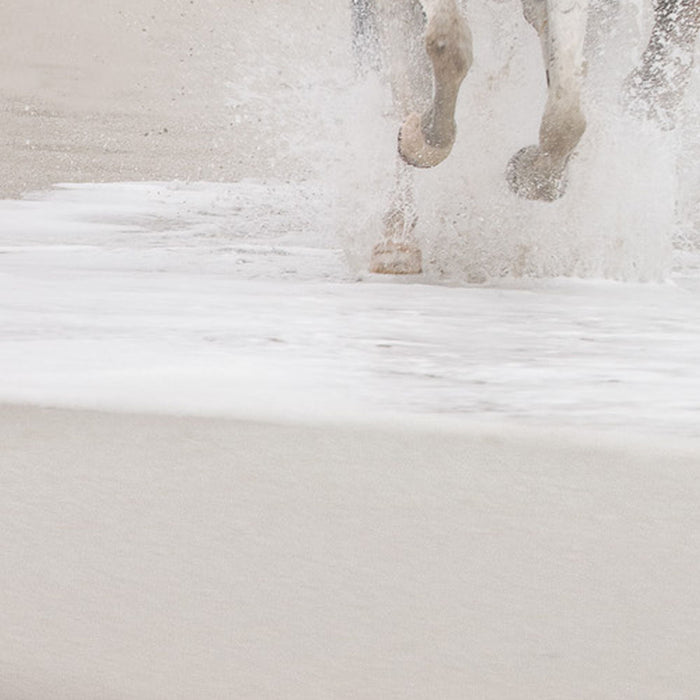 Papier Fototapete | White Horses | Größe 368 x 254 cm