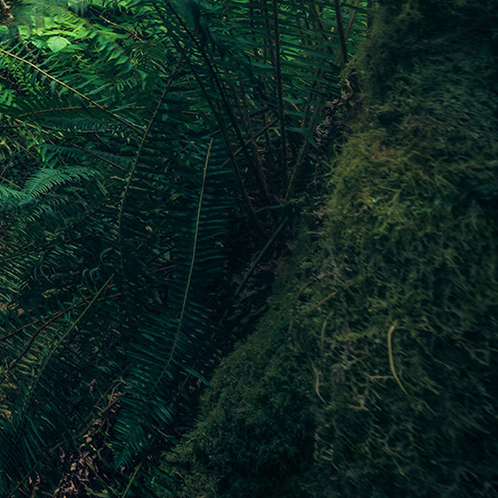 Vlies Fototapete | Elves Cathedral | Größe 450 x 280 cm