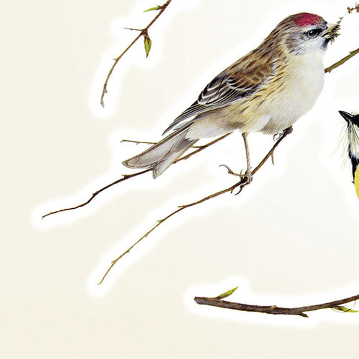 Wandtattoo | Vogerl | Größe 50 x 70 cm