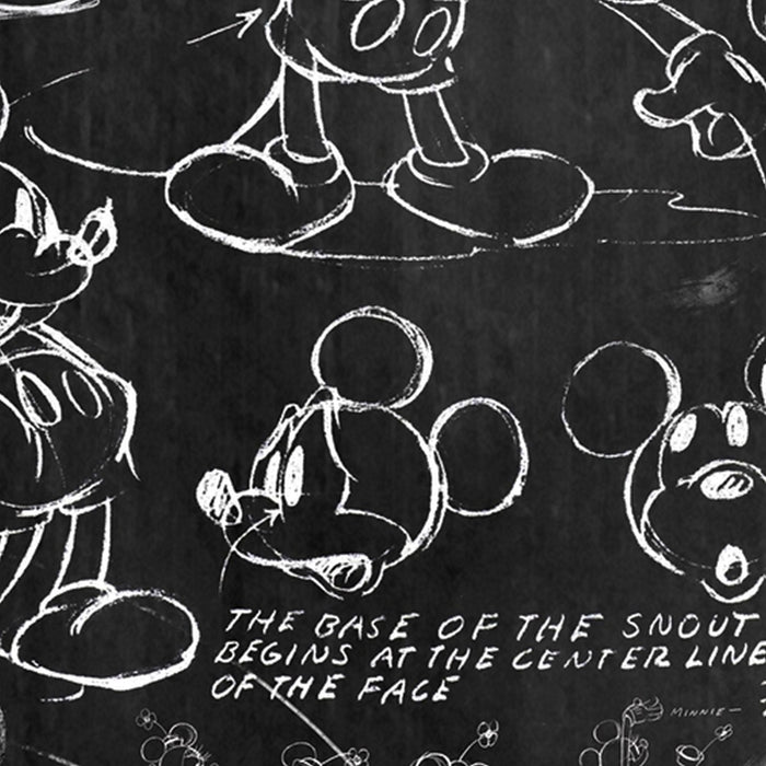 Vlies Fototapete | Mickey Chalkboard | Größe 120 x 200 cm