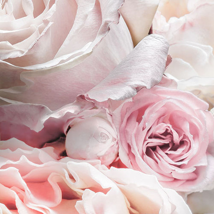 Papier Fototapete | Spring Roses | Größe 368 x 254 cm