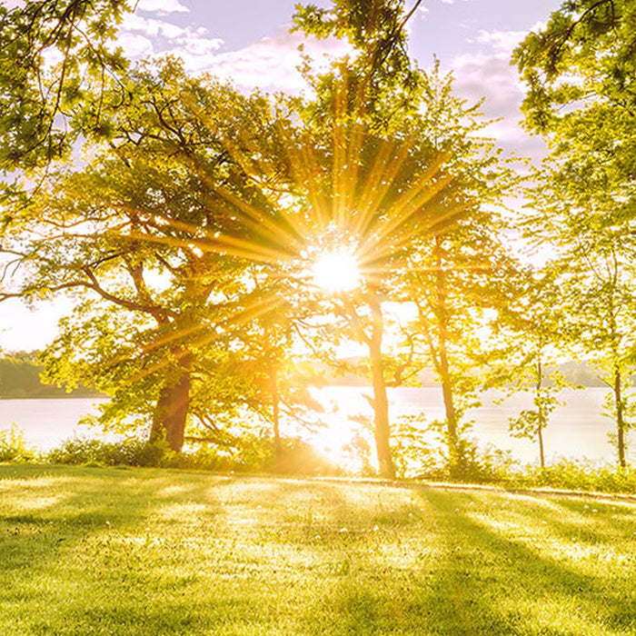 Vlies Fototapete | Golden Moment | Größe 400 x 250 cm