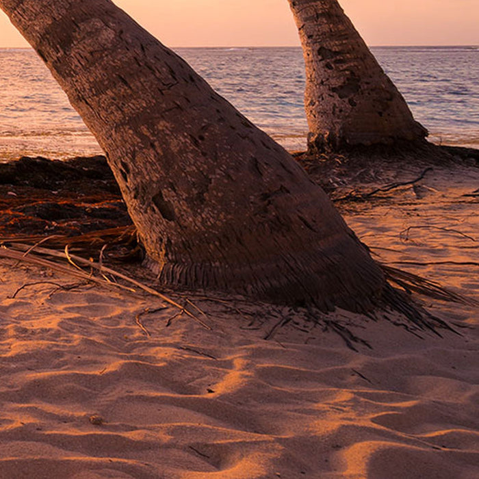 Vlies Fototapete | Reaching the Sun | Größe 400 x 250 cm