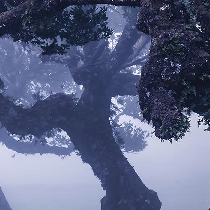 Vlies Fototapete | Ghost Line | Größe 400 x 250 cm