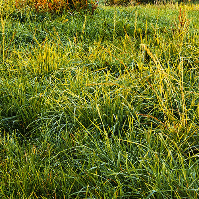 Vlies Fototapete | Himmlisch | Größe 450 x 280 cm