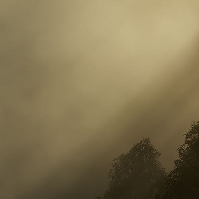 Vlies Fototapete | Misty Mountain | Größe 400 x 250 cm