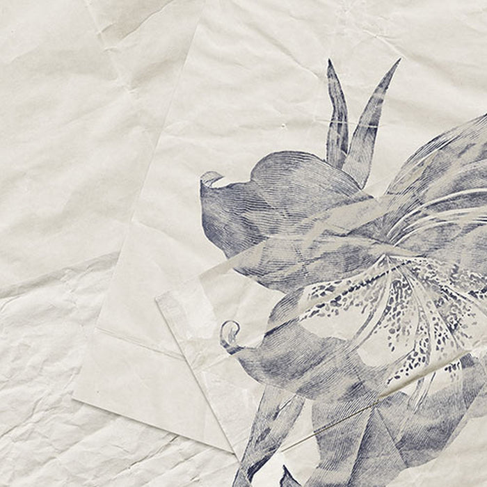 Komar | Vlies Fototapete | Botanical Papers | Größe 400 x 280 cm