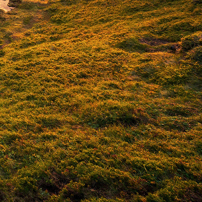 Komar | Vlies Fototapete | Guten Morgen auf Isländisch | Größe 400 x 250 cm