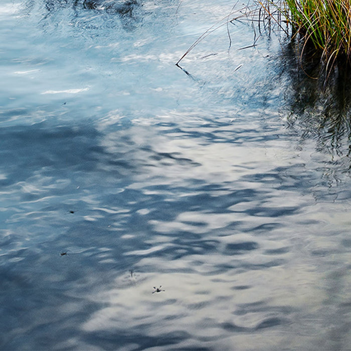 Vlies Fototapete | Am Ende des Tages | Größe 300 x 280 cm