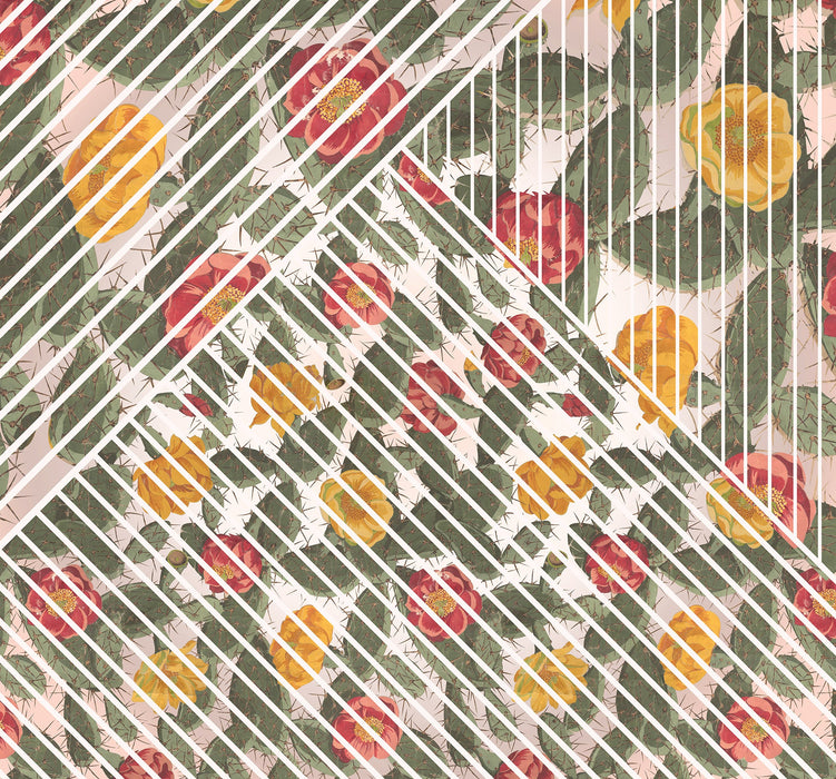 Vlies Fototapete | Cactus | Größe 300 x 280 cm