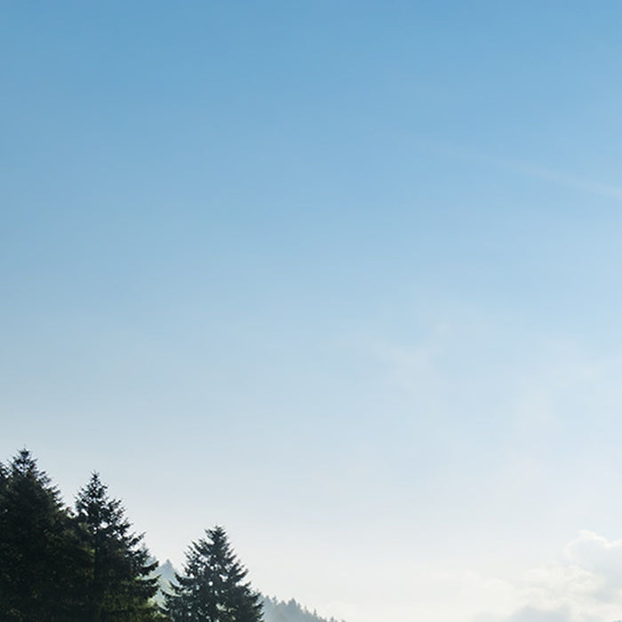 Vlies Fototapete | Bergwiese vor Karwendel | Größe 450 x 280 cm