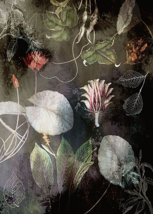 Komar | Vlies Fototapete | Night Flowers | Größe 200 x 280 cm
