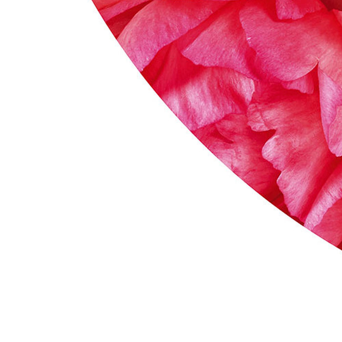 Komar | Selbstklebende Vlies Fototapete/Wandtattoo | Roseraie | Größe 125 x 125 cm