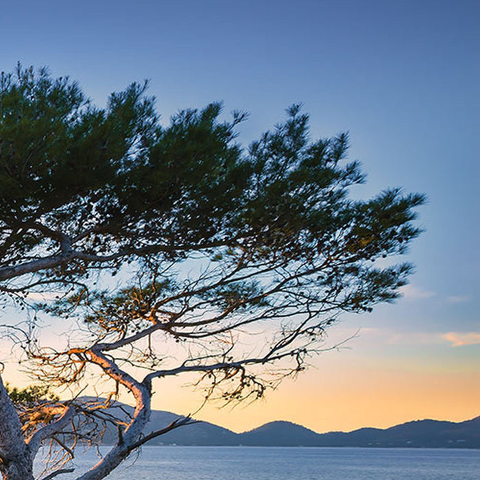 Vlies Fototapete | Southern Light | Größe 400 x 250 cm