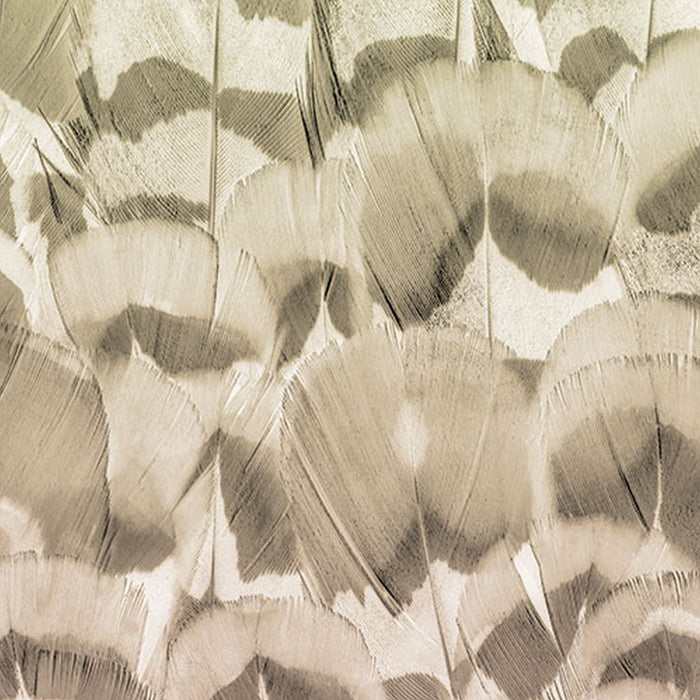 Komar | Vlies Fototapete | Pale Feathers | Größe 200 x 250 cm