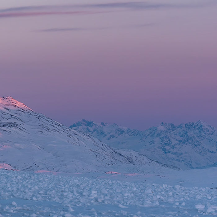 Vlies Fototapete | Purple Dinner | Größe 450 x 280 cm