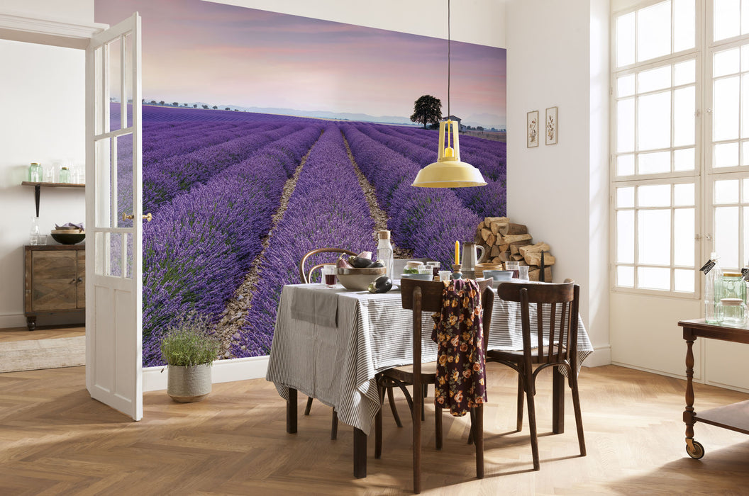 Komar | Vlies Fototapete | Provence | Größe 400 x 260 cm