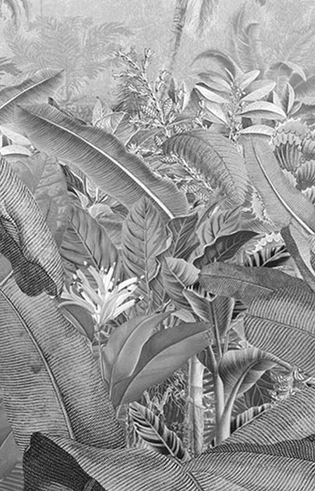 Komar | Vlies Fototapete | Amazonia Black and White Panel  | Größe 100 x 250 cm