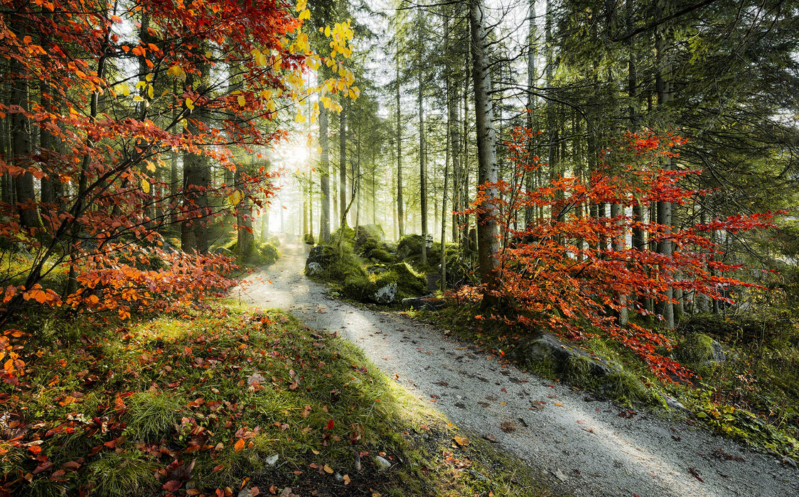 Vlies Fototapete | Feuerzungen | Größe 450 x 280 cm