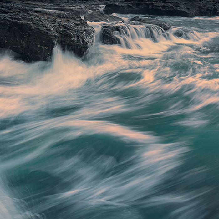 Vlies Fototapete | Cry of the Sea | Größe 200 x 280 cm