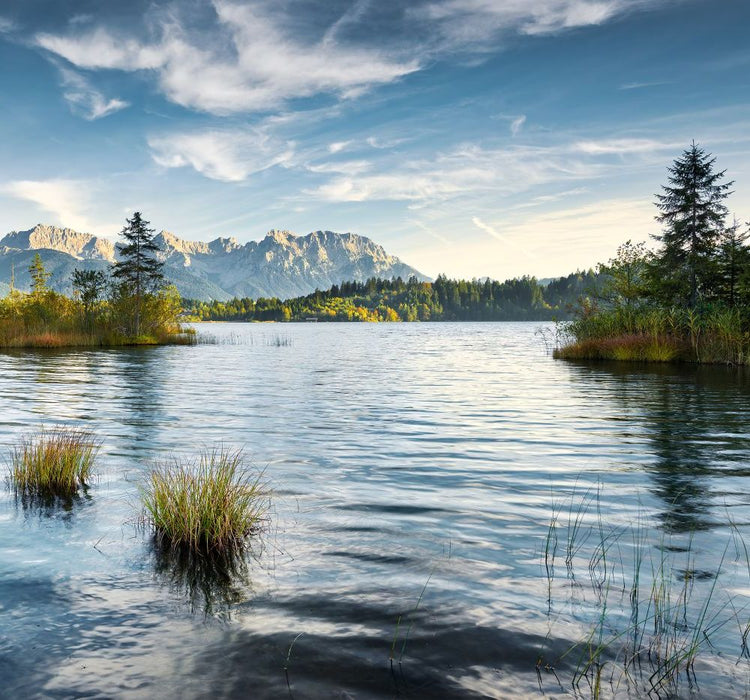 Vlies Fototapete | Am Ende des Tages | Größe 300 x 280 cm