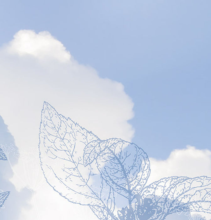 Komar | Vlies Fototapete | Blue Sky Panel | Größe 100 x 250 cm