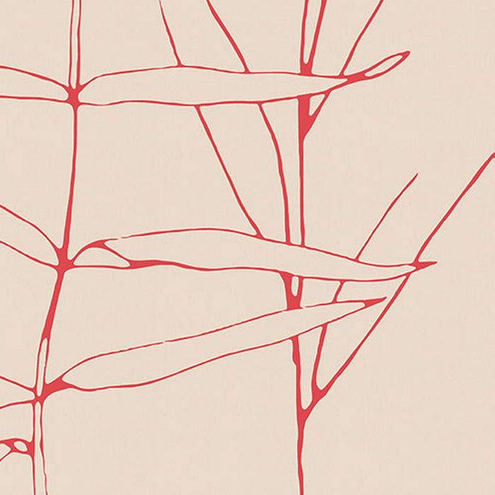 Vlies Fototapete | Plain | Größe 200 x 280 cm