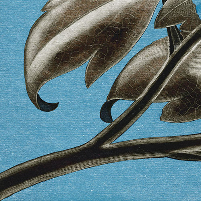 Komar | Vlies Fototapete | Royal Peony  | Größe 350 x 250 cm