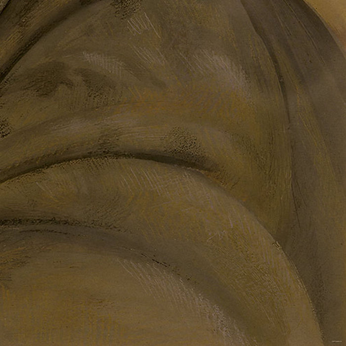 Vlies Fototapete | Star Wars Classic RMQ Tusken | Größe 500 x 250 cm