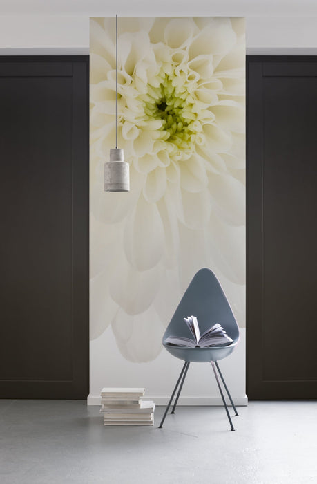 Vlies Fototapete | Beautiful | Größe 100 x 280 cm