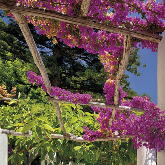 Papier Fototapete | Amalfi | Größe 368 x 254 cm