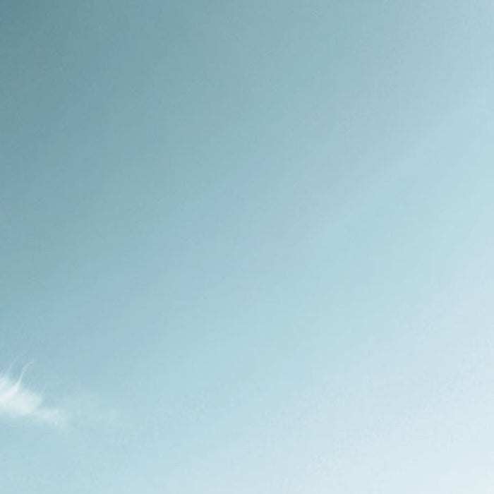 Papier Fototapete | Star Wars Lost Droids | Größe 368 x 254 cm