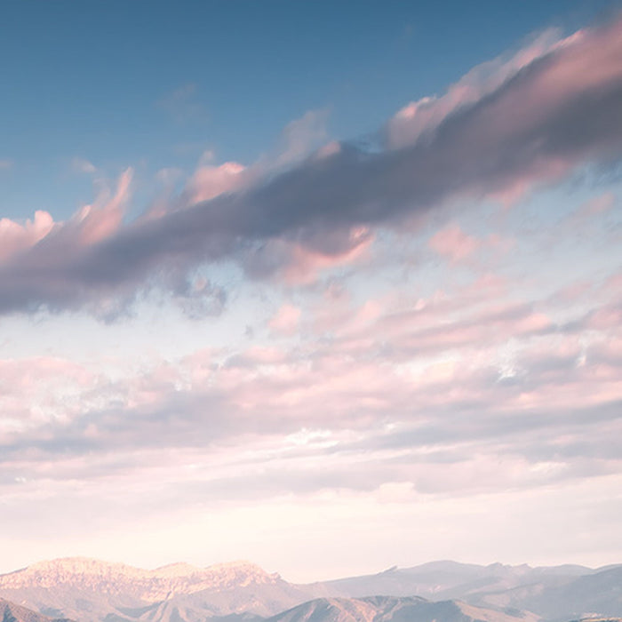 Vlies Fototapete | Flowering Tales | Größe 200 x 280 cm