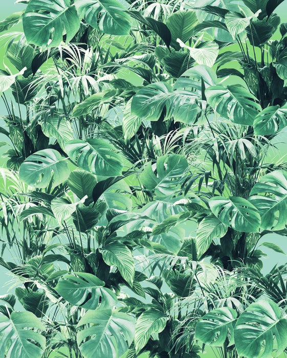 Komar | Vlies Fototapete | Evergreen | Größe 200 x 250 cm