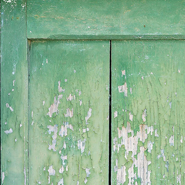 Vlies Fototapete | Gartentür | Größe 100 x 280 cm