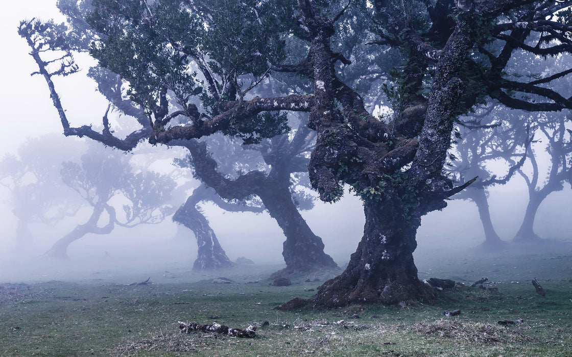 Vlies Fototapete | Ghost Line | Größe 400 x 250 cm