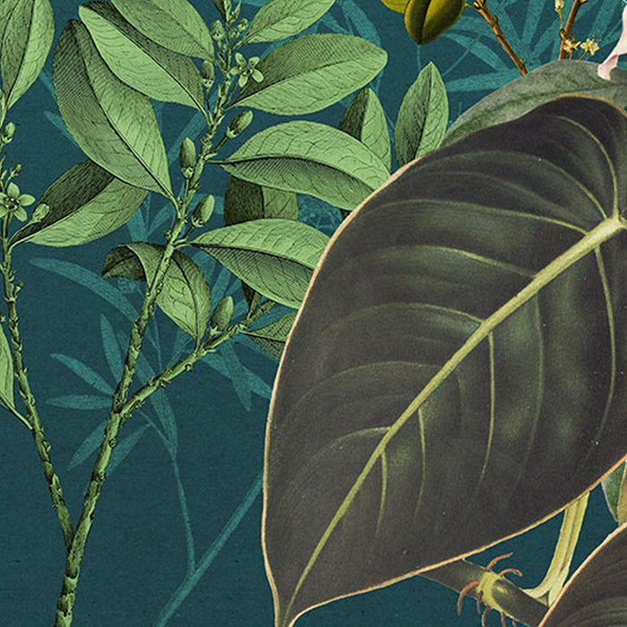 Vlies Fototapete | Jacinta  | Größe 350 x 250 cm