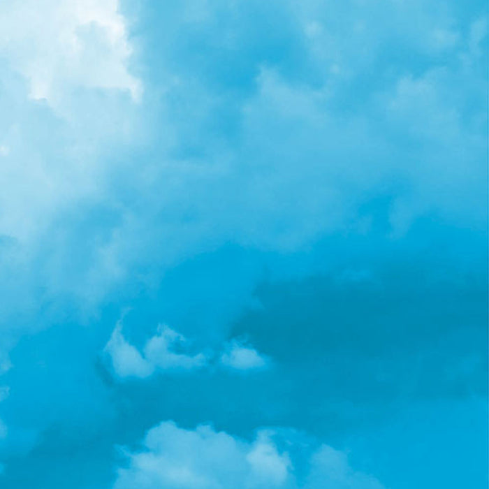 Vlies Fototapete | Himmelszelt  | Größe 200 x 250 cm