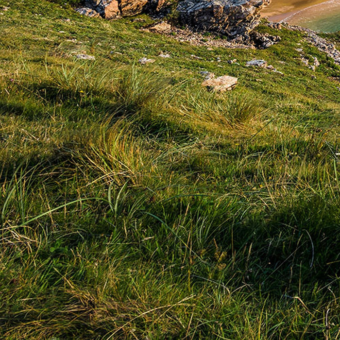 Vlies Fototapete | Breath Taking | Größe 400 x 250 cm