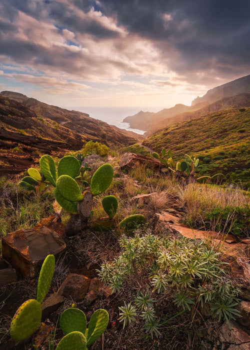 Vlies Fototapete | Warmes Licht | Größe 200 x 280 cm