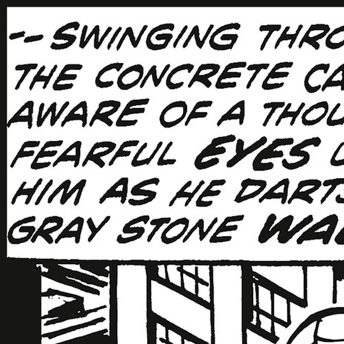 Vlies Fototapete | Spider Man Classic Climb | Größe 100 x 200 cm