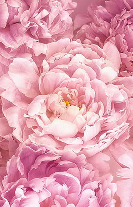 Vlies Fototapete | Soave Panel | Größe 100 x 250 cm