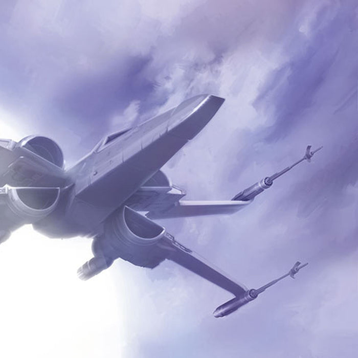 Papier Fototapete | STAR WARS Rey | Größe 184 x 254 cm