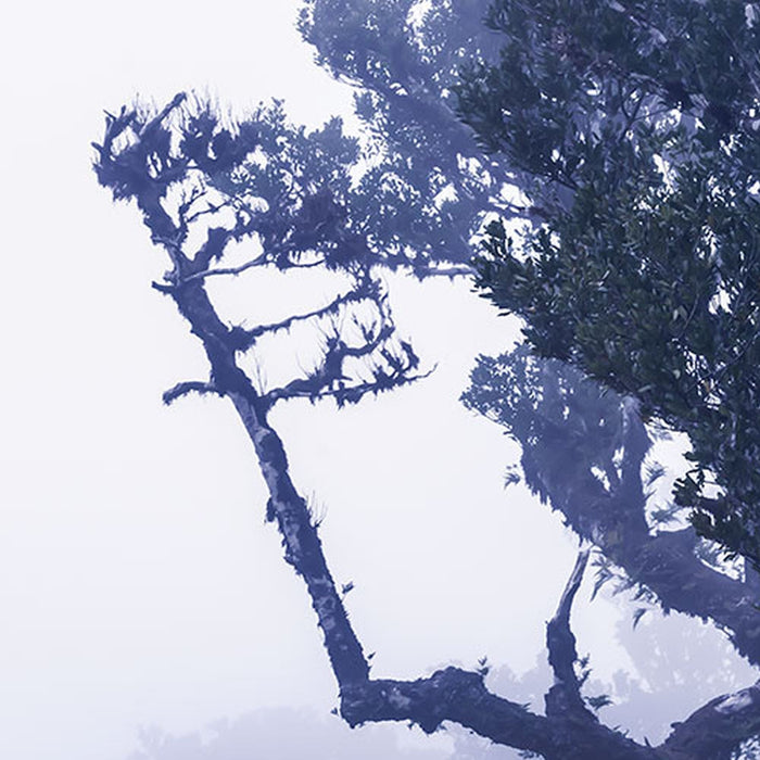 Vlies Fototapete | Ghost Line | Größe 400 x 250 cm